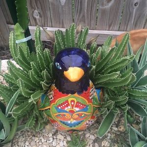 Meet your Posher, Araseli